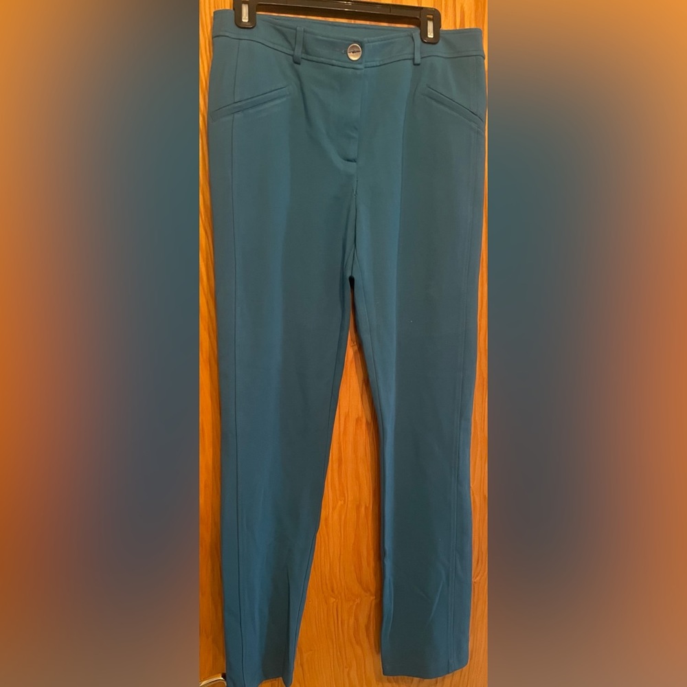 NWOT Mode de vie teal size 12 stretch